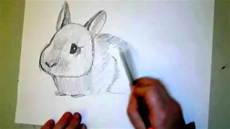 How to draw a rabbit step by step? maxresdefault.jpg