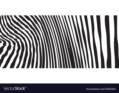 Wild Zebra Wave Pattern With Black And White Vector Image