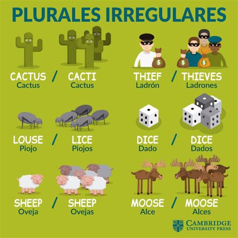 Plurales Irregulares Como Aprender Ingles Basico Ortografia En
