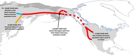 Beringian Dna Discovery Rewrites Early North American History