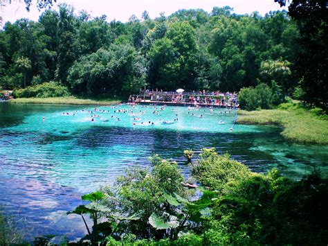 Rainbow Springs Fl Been There And It Is Beautiful Florida Springs