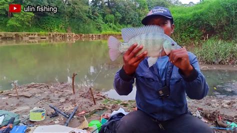 Mancing Ikan Nila Liar Di Sungai Cisadane Umpan Lumut Batu YouTube