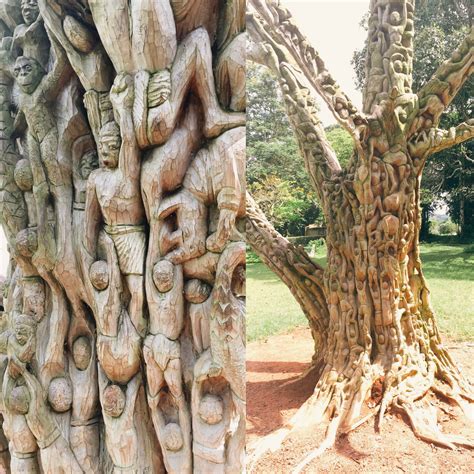 Artist Unkown Sculpted Tree From Aburi Botanical Understanding Ghana