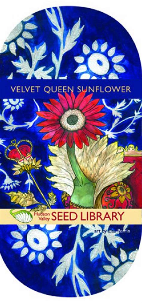 Hudson Valley Seeds Art Pack Velvet Queen Sunflower Seed Art Seed Company Seed Packaging