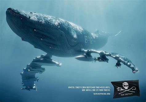 Advertisements Of Sea Shepherd Organization Ocean Non Profits Sea