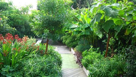 Tropical plant design, tulsa, oklahoma. lush, sub-tropical backyard garden | zone 6/7 tropical ...