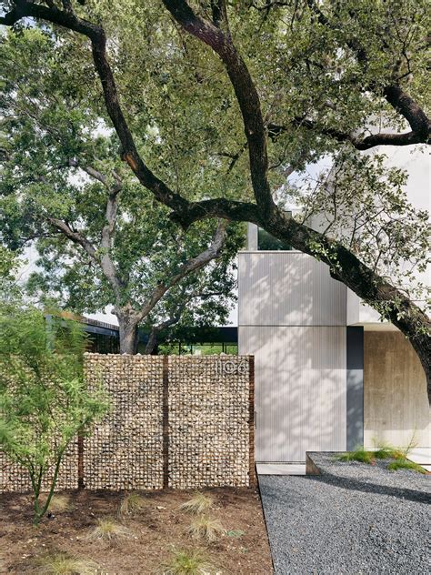 Alterstudio Designs Austin Residence Around Existing Oak Tree Urban