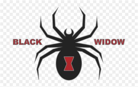 Sca Performance Black Widow Logo Hd Png Download 700x464 Png Dlfpt