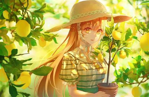 2293x1500 Pretty Anime Girl Summer Lemons Straw Hat Long Hair