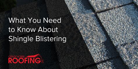 What You Need To Know About Shingle Blistering Crazy Horse Roofing
