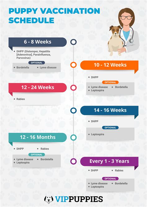 What Age Should Puppies Get Vaccinated - Puppy And Pets