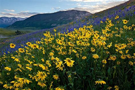 A Beautiful Evening Crested Butte Co Stan Rose Photography