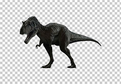 Albertosaurus Utahraptor Deinonychus Velociraptor Spinosaurus Png Clipart Albertosaurus