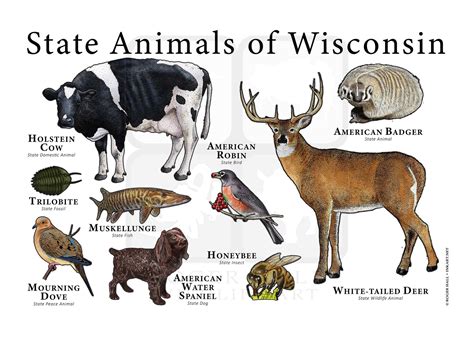 Wisconsin State Animals Poster Print Etsy