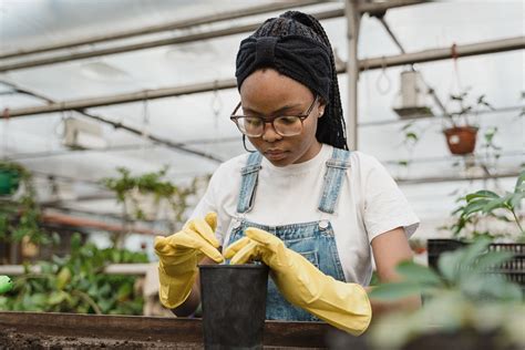 Horticultural Therapy Gardening To Help Your Mental Health