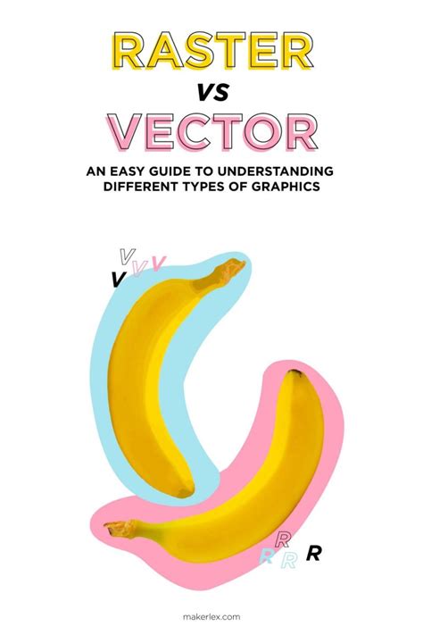 Vector Vs Raster Graphics Explained Everything You Need To Know