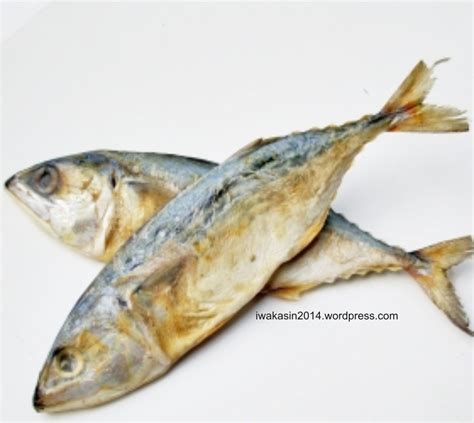 Gambar Ikan Asin Homecare24