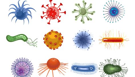 Whats The Difference Between Bacteria And Viruses Institute For Molecular Bioscience