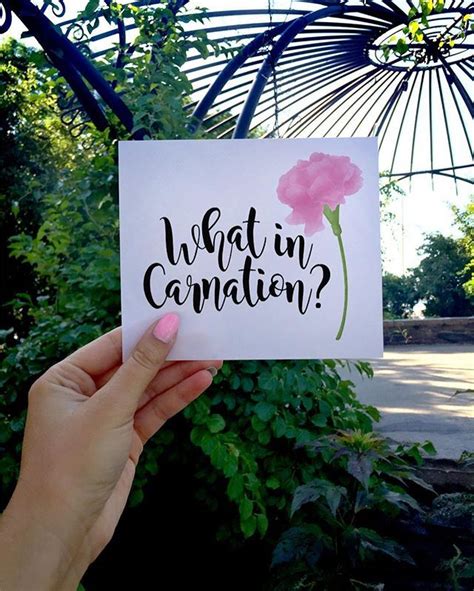 What In Carnation Digital 8x10 Printable Poster Punny