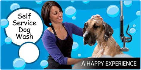 Service arlington, alexandria, falls church we design our playgroups based on temperament, size, age, playstyle & special needs. We love dogs and we know you do too, that's why we made ...