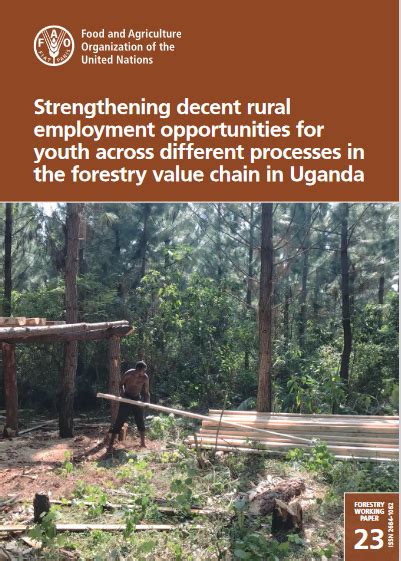 Strengthening Decent Rural Employment Opportunities For Youth Across