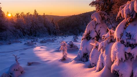 Winter Sunrise Wallpapers | Wallpapers HD