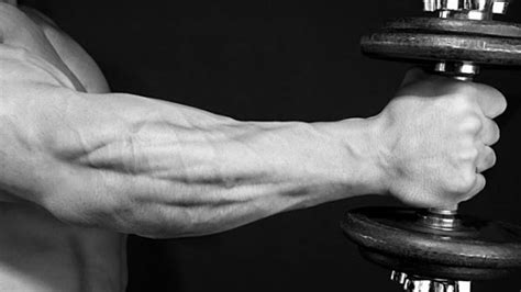 The Ultimate Forearm Exercises Build A Beautiful And Strong Body With
