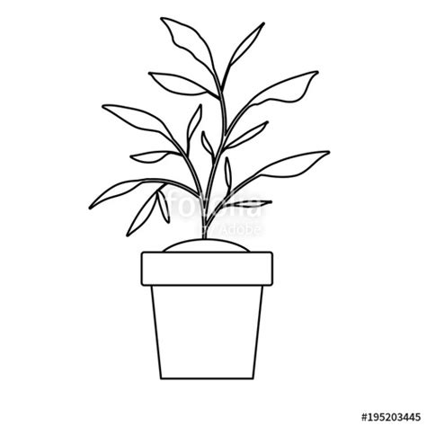 House Plant Drawing At Getdrawings Free Download