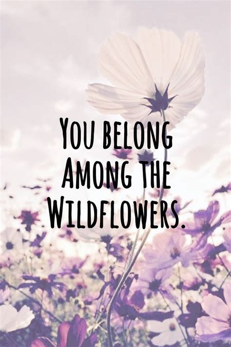 You Belong Among The Wildflowers Wild Flower Quotes Wildflower