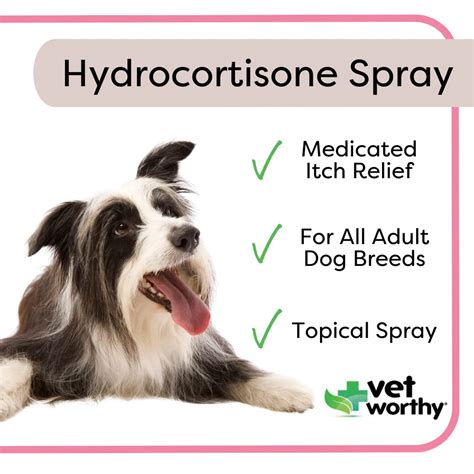 Can Dogs Use Cortisone Anti Itch