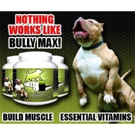 Used by 393,392 dog owners.: Amazon.com : Bully Max Dog Muscle Supplement 60 pills ...