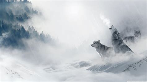 Howling Wolf Wallpapers Top Free Howling Wolf Backgrounds