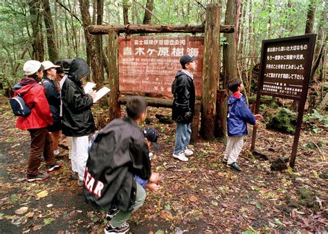 Logan Paul Controversy What Is Aokigahara Japans Suicide Forest
