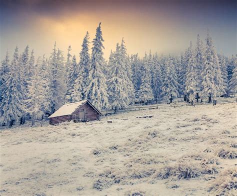 Beautiful Winter Sunrise In The Foggy Mountains Stock Photo Image Of