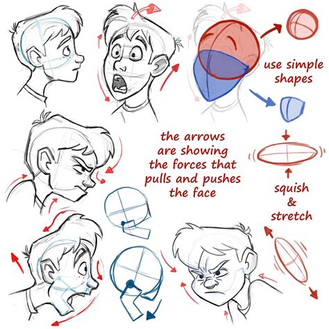 Learning Drawing Principles Face