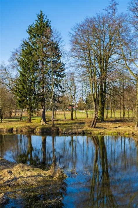 Early Spring Landscape Of European Forest And Water Ponds In Konstancin