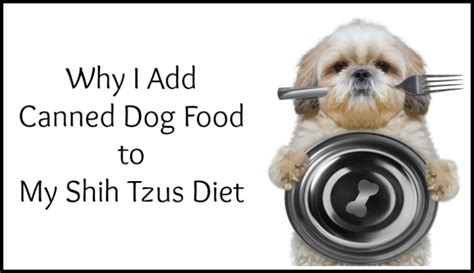 What you are about to read below can make a huge difference! Why I Add Canned Dog Food #PetcureanLove - Oh My Shih Tzu