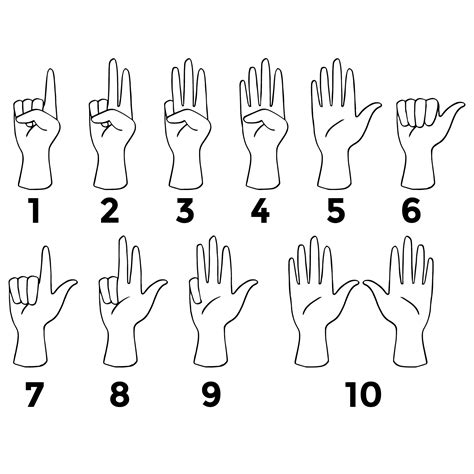 Sign Language Numbers Worksheet