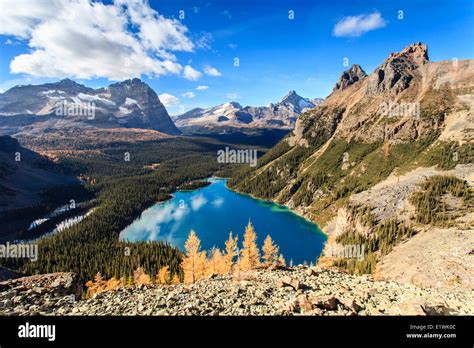 Lake Ohara Oderay Mountain Cathedral Mountain And Wiwaxy Peaks From
