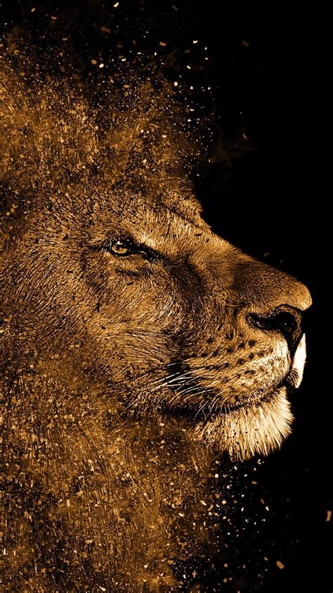 Gold Lion Wallpapers Top Free Gold Lion Backgrounds Wallpaperaccess