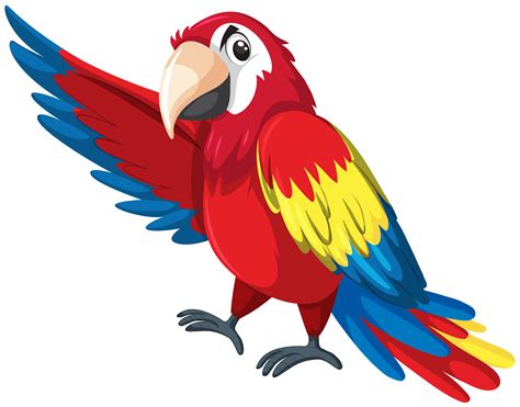 A Colourful Parrot Character 614006 Vector Art At Vecteezy