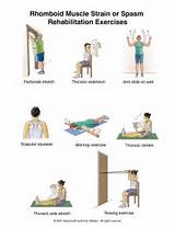 Upper Back Muscle Strengthening Images