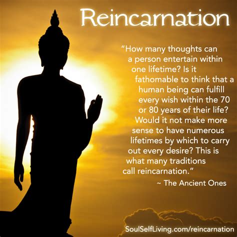 Quotes About Reincarnation Quotesgram