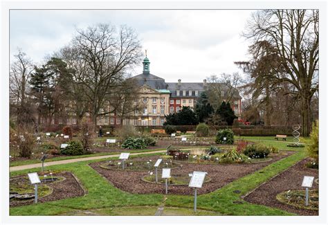 Bilder botanischer garten dresden jetzt beim testsieger holidaycheck 715 botanischer garten dresden bilder anschauen und günstige hotels für ihre dresden reise finden. _Botanischer_Garten Foto & Bild | deutschland, europe ...