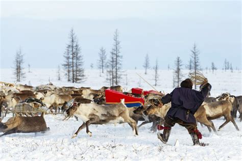 Indigenous Russia Discover Russia S Indigenous Nomadic Tribes Bering
