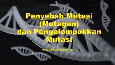 Penyebab Mutasi Mutagen Dan Pengelompokkan Mutasi BSB