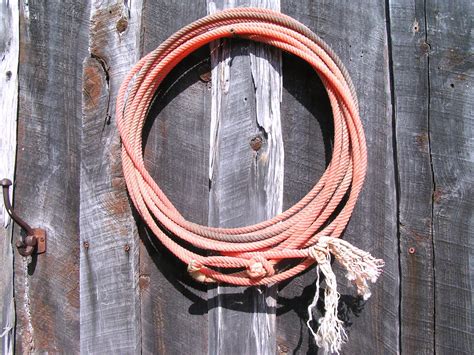 Old Cowboy Lariat Rope Western Lasso Wall Hang Decor 4321 Etsy In