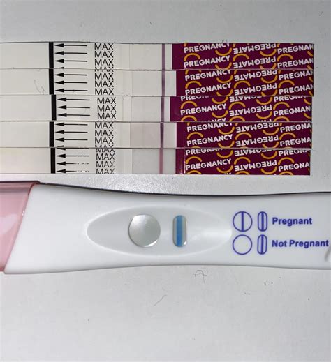 Pregmate Pregnancy Test Faint Line Bashwoman
