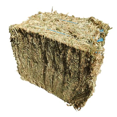 Compressed Oaten Hay For Sale Full Bales And Bags Shop Online Or