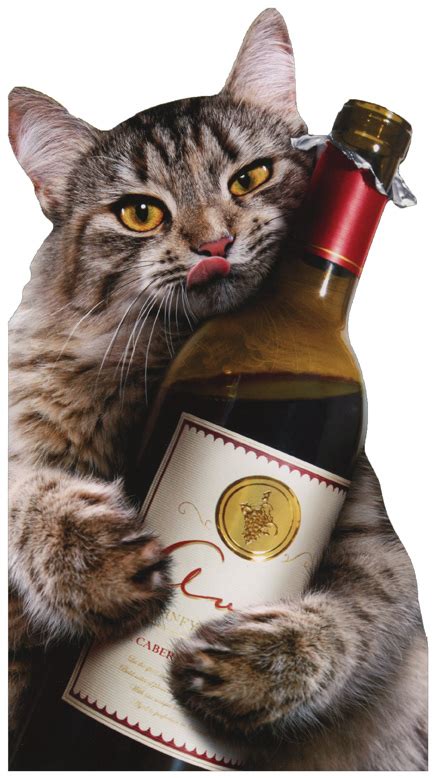 Cat Wine Bottle Avanti Oversized Funny Birthday Card By